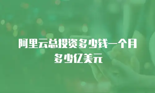 阿里云总投资多少钱一个月多少亿美元