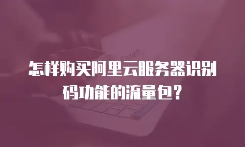 怎样购买阿里云服务器识别码功能的流量包？
