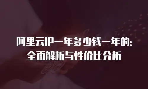 阿里云IP一年多少钱一年的：全面解析与性价比分析