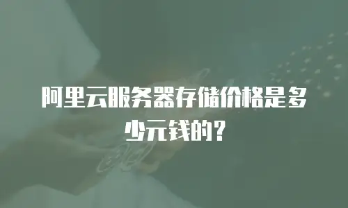 阿里云服务器存储价格是多少元钱的？
