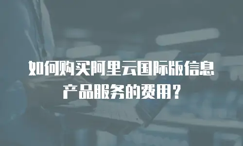 如何购买阿里云国际版信息产品服务的费用？