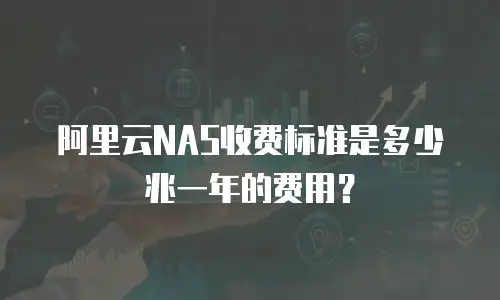 阿里云NAS收费标准是多少兆一年的费用？