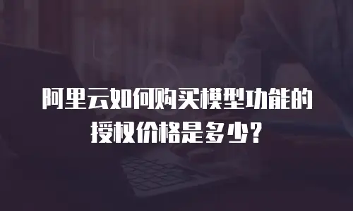 阿里云如何购买模型功能的授权价格是多少？