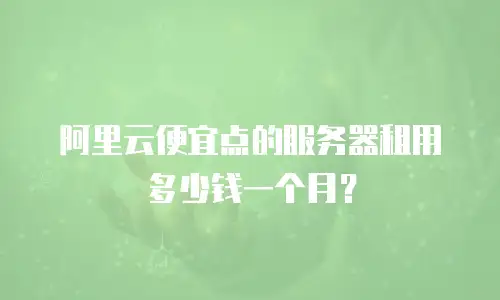 阿里云便宜点的服务器租用多少钱一个月？