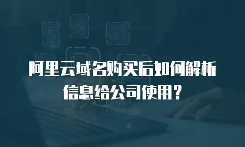 阿里云域名购买后如何解析信息给公司使用？
