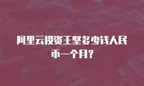 阿里云投资王坚多少钱人民币一个月？