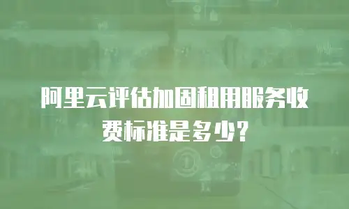阿里云评估加固租用服务收费标准是多少？
