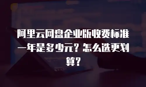 阿里云网盘企业版收费标准一年是多少元？怎么选更划算？