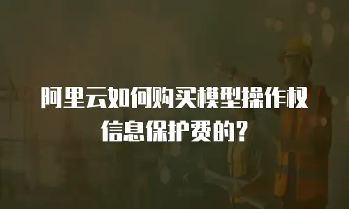 阿里云如何购买模型操作权信息保护费的？