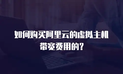 如何购买阿里云的虚拟主机带宽费用的？