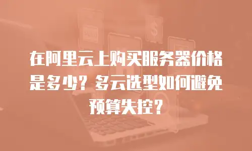 在阿里云上购买服务器价格是多少？多云选型如何避免预算失控？