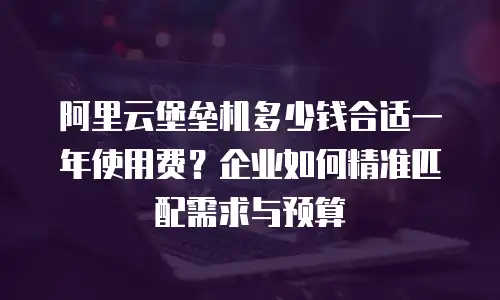 阿里云堡垒机多少钱合适一年使用费？企业如何精准匹配需求与预算