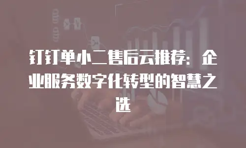 钉钉单小二售后云推荐：企业服务数字化转型的智慧之选