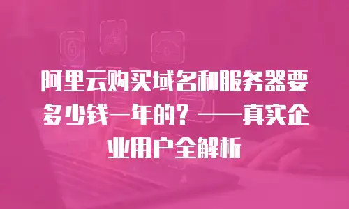 阿里云购买域名和服务器要多少钱一年的？——真实企业用户全解析