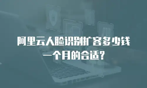 阿里云人脸识别扩容多少钱一个月的合适？