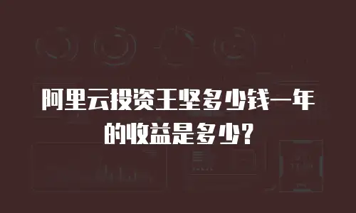 阿里云投资王坚多少钱一年的收益是多少？