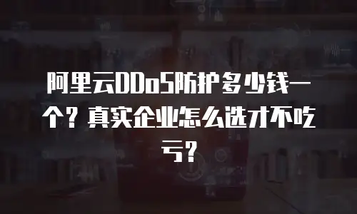 阿里云DDoS防护多少钱一个？真实企业怎么选才不吃亏？