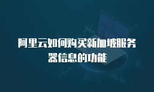 阿里云如何购买新加坡服务器信息的功能