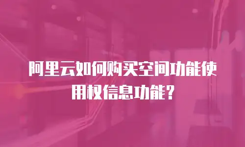 阿里云如何购买空间功能使用权信息功能？