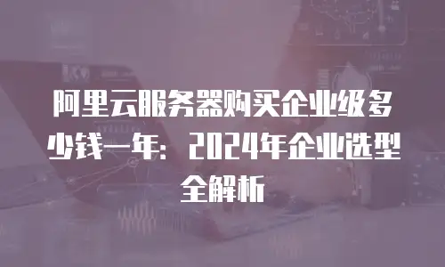 阿里云服务器购买企业级多少钱一年：2024年企业选型全解析