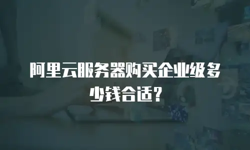 阿里云服务器购买企业级多少钱合适？