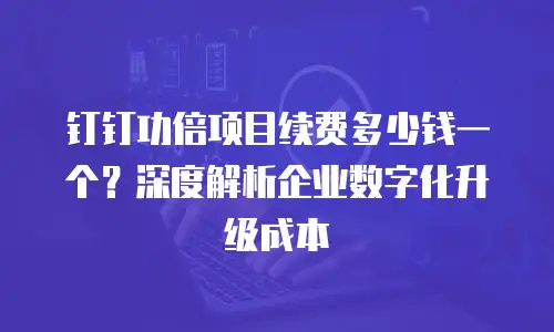 钉钉功倍项目续费多少钱一个？深度解析企业数字化升级成本