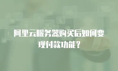 阿里云服务器购买后如何变现付款功能？