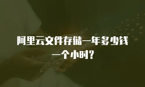 阿里云文件存储一年多少钱一个小时？