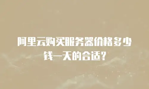 阿里云购买服务器价格多少钱一天的合适？