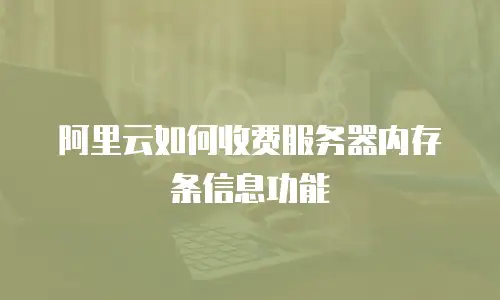 阿里云如何收费服务器内存条信息功能