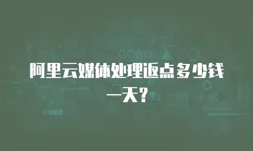 阿里云媒体处理返点多少钱一天？