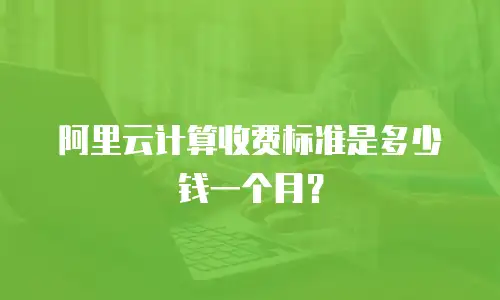 阿里云计算收费标准是多少钱一个月？