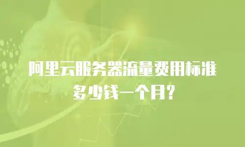 阿里云服务器流量费用标准多少钱一个月？