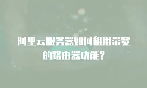 阿里云服务器如何租用带宽的路由器功能？