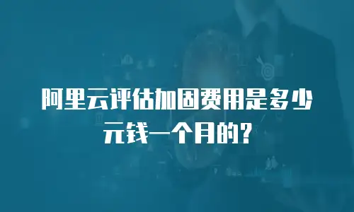阿里云评估加固费用是多少元钱一个月的？