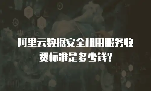 阿里云数据安全租用服务收费标准是多少钱？