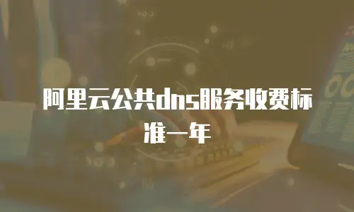 阿里云公共dns服务收费标准一年