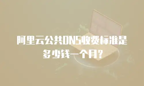 阿里云公共DNS收费标准是多少钱一个月？