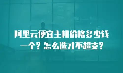阿里云便宜主机价格多少钱一个？怎么选才不超支？