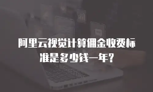 阿里云视觉计算佣金收费标准是多少钱一年？