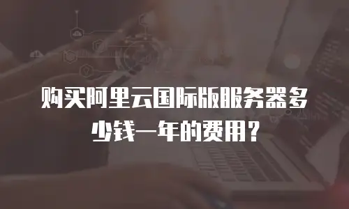 购买阿里云国际版服务器多少钱一年的费用？