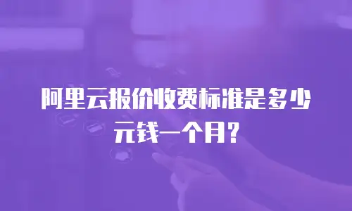 阿里云报价收费标准是多少元钱一个月？