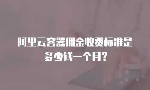 阿里云容器佣金收费标准是多少钱一个月？