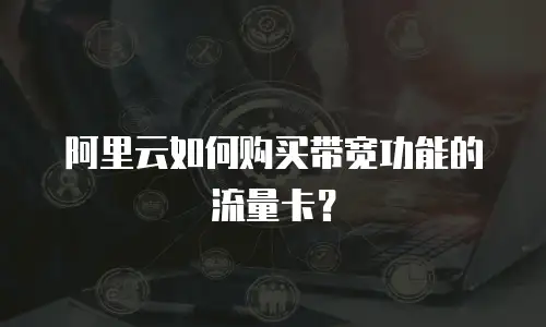 阿里云如何购买带宽功能的流量卡？