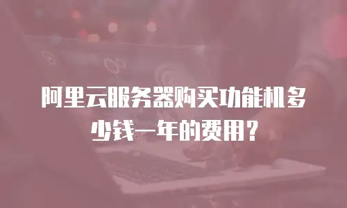 阿里云服务器购买功能机多少钱一年的费用？