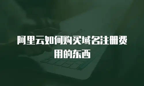 阿里云如何购买域名注册费用的东西