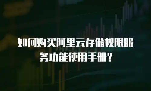 如何购买阿里云存储权限服务功能使用手册？