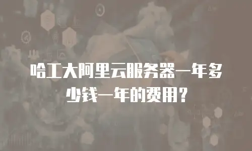 哈工大阿里云服务器一年多少钱一年的费用？