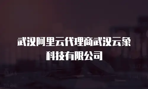 武汉阿里云代理商武汉云象科技有限公司