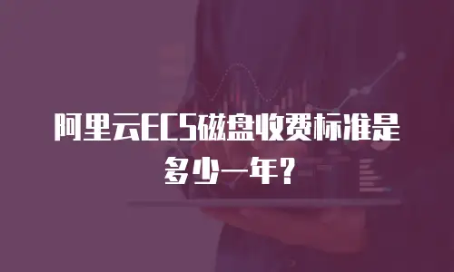 阿里云ECS磁盘收费标准是多少一年？